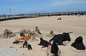 2009_06_06_biscarrosse_ 171